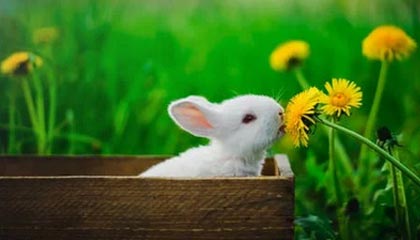 使用伴游app时如何保障个人信息安全